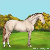 Horse Color:Classic Champagne Pearl 