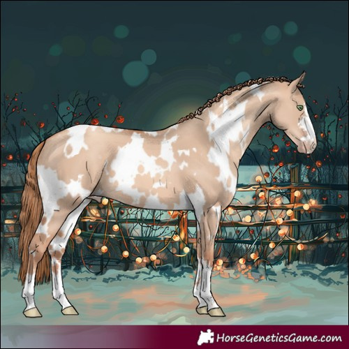 Horse Color:White Spotted Gold Champagne Dun