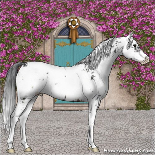 Horse Color:Brown Sabino 