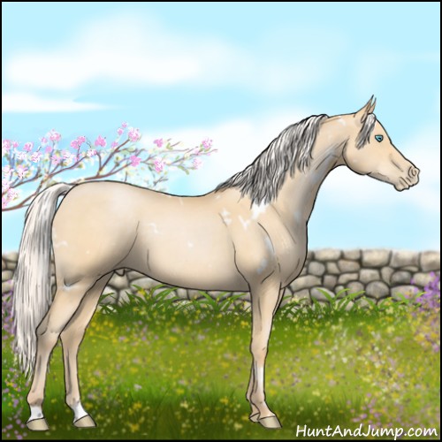 Horse Color:White Spotted Silver Buckskin Pearl 