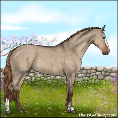 Horse Color:Liver Red Dun Roan Sabino Brindle