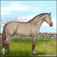 Horse Color:Liver Red Dun Roan Sabino Brindle