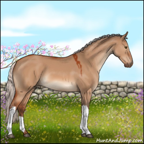 Horse Color:Silver Bay Dun 