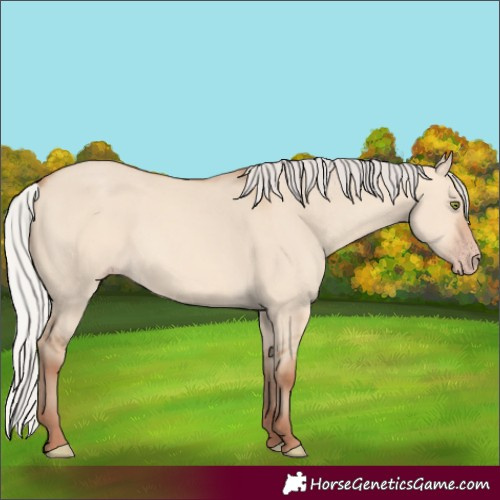 Horse Color:Silver Sable Champagne Dun Rabicano 
