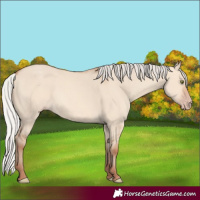 Horse Color:Silver Sable Champagne Dun Rabicano 