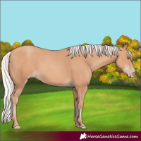 Horse Color:Silver Sable Champagne Rabicano 