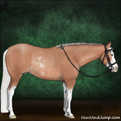 Horse Color:Silver Sable Champagne Sabino Splash Rabicano
