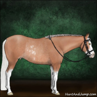 Horse Color:Silver Sable Champagne Sabino Splash Rabicano 