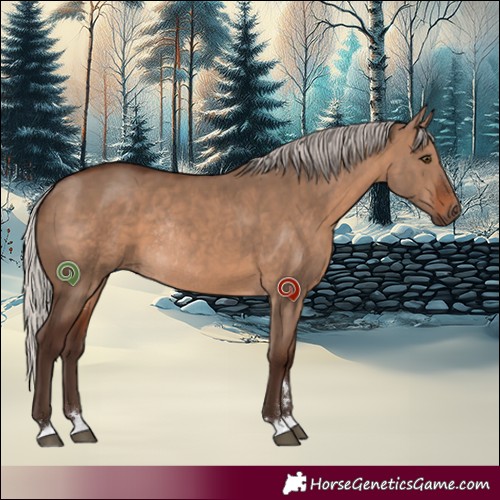 Horse Color:Silver Brown Dun Rabicano 