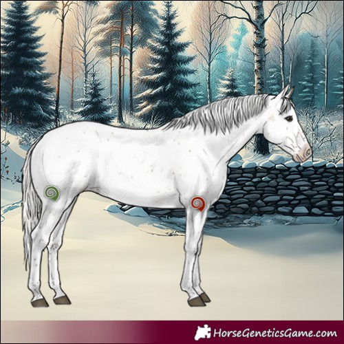 Horse Color:Silver Brown Dun Sabino Rabicano 