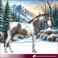 Horse Color:White Spotted Grullo Tobiano