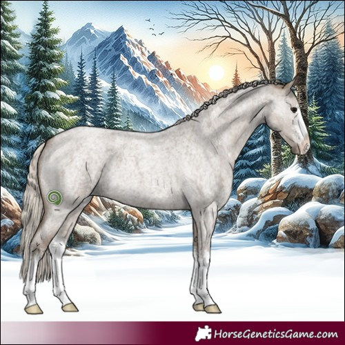 Horse Color:White Spotted Silver Smoky Grullo Roan