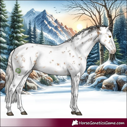 Horse Color:White Spotted Silver Buckskin Sabino Rabicano 