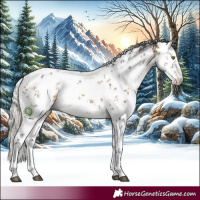 Horse Color:White Spotted Silver Buckskin Sabino Rabicano 