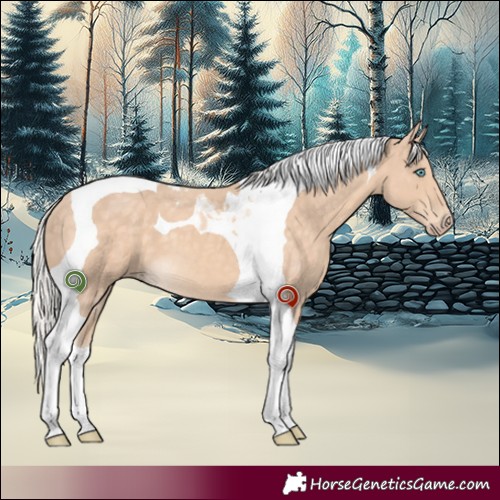 Horse Color:Silver Perlino Tobiano 
