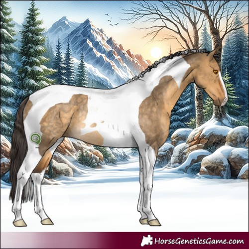 Horse Color:Buckskin Dun Tobiano Rabicano