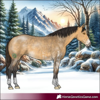 Horse Color:Buckskin Dun Sabino 