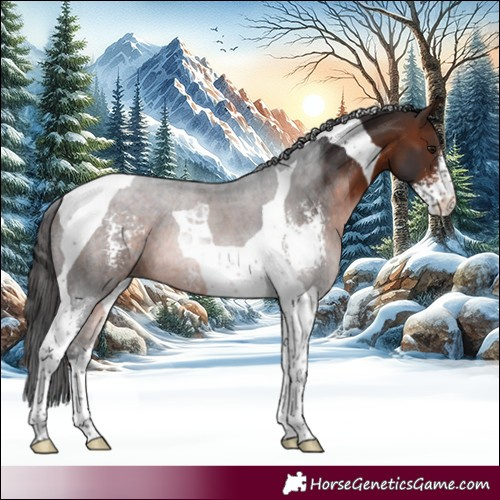 Horse Color:Brown Sabino Tobiano 