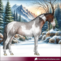 Horse Color:Brown Sabino Tobiano