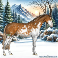 Horse Color:Chocolate Palomino Sabino Rabicano 