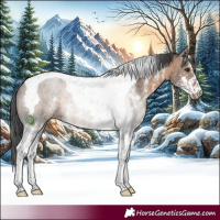 Horse Color:Brown Dun Sabino Tobiano 