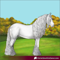 Horse Color:Gray White Spotted Silver Brown Tobiano Appaloosa Rabicano 