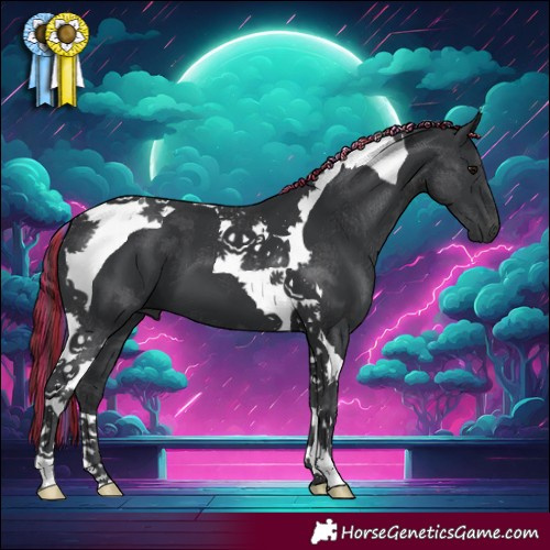 Horse Color:Painted Black Tobiano 