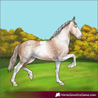 Horse Color:Gray Gold Champagne Splash Tobiano 