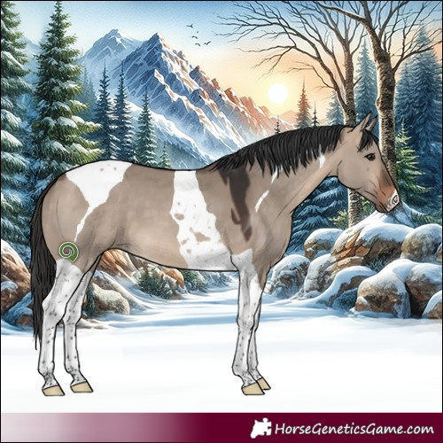 Horse Color:Brown Dun Tobiano 