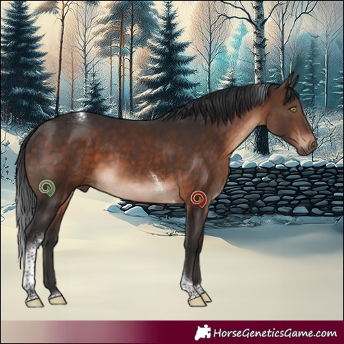 Horse Color:Brown Tobiano 