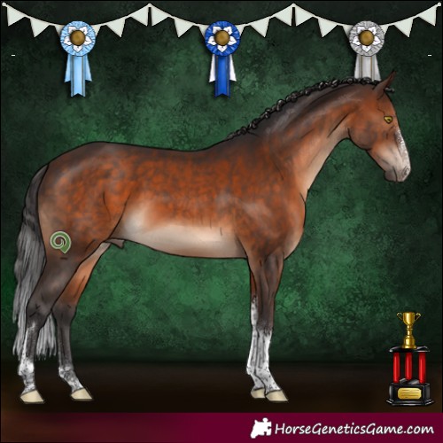 Horse Color:Brown Sabino Tobiano 