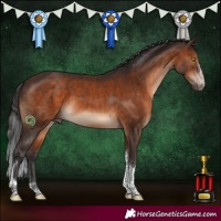 Horse Color:Brown Sabino Tobiano
