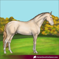 Horse Color:Smoky Black Pearl 