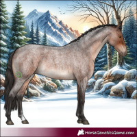 Horse Color:Brown Roan 