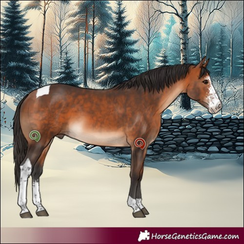 Horse Color:Bay Sabino Tobiano 