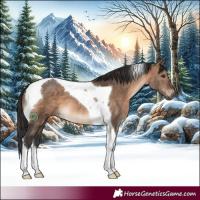 Horse Color:Brown Dun Tobiano 