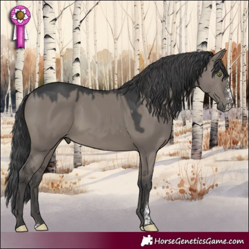 Horse Color:Grullo Sabino 