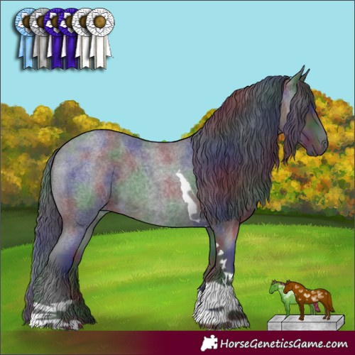 Horse Color:Nacre Blue Roan Tobiano 