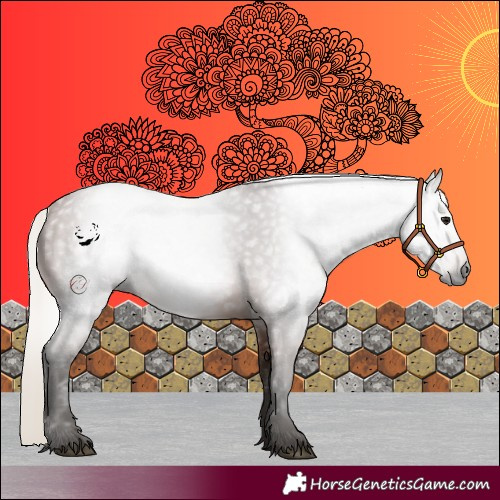 Horse Color:Gray Silver Bay 
