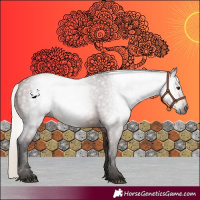 Horse Color:Gray Silver Bay