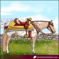 Horse Color:Chestnut Tobiano Appaloosa Rabicano 