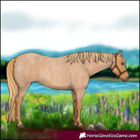Horse Color:Red Roan 
