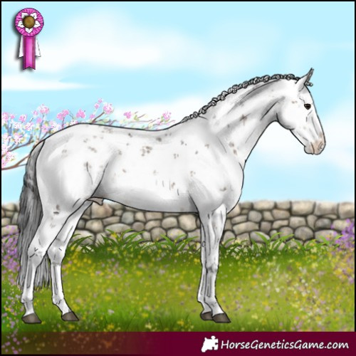 Horse Color:White Spotted Brown Dun Sabino Snowflake Varnish 