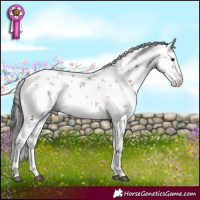 Horse Color:White Spotted Brown Dun Sabino Snowflake Varnish 