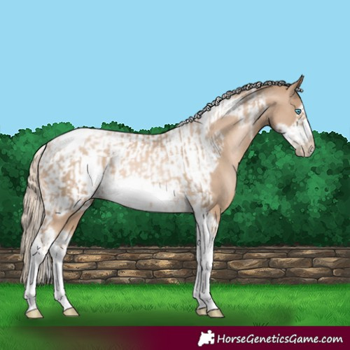 Horse Color:Chocolate Palomino Pearl Tobiano Frame and Chocolate Palomino Pearl Tobiano Frame