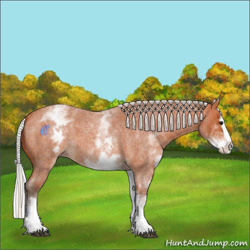 Horse Color:White Spotted Silver Bay Roan Splash 