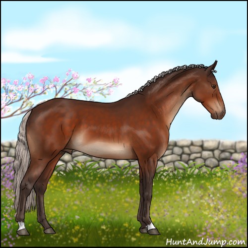 Horse Color:Silver Brown Sabino 