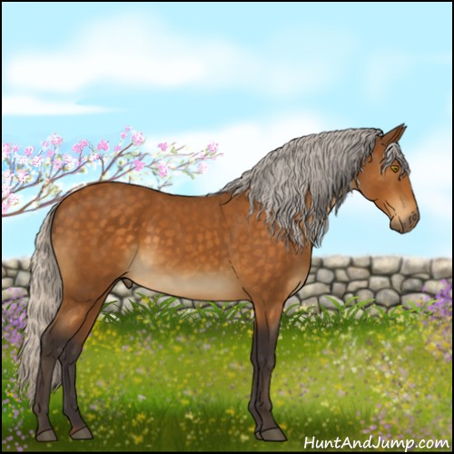 Horse Color:Silver Buckskin Sabino 