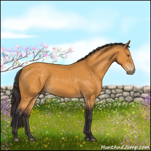 Horse Color:Buckskin Sabino 