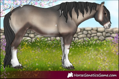 Horse Color:Blue Onyx Sabino Tobiano Rabicano 